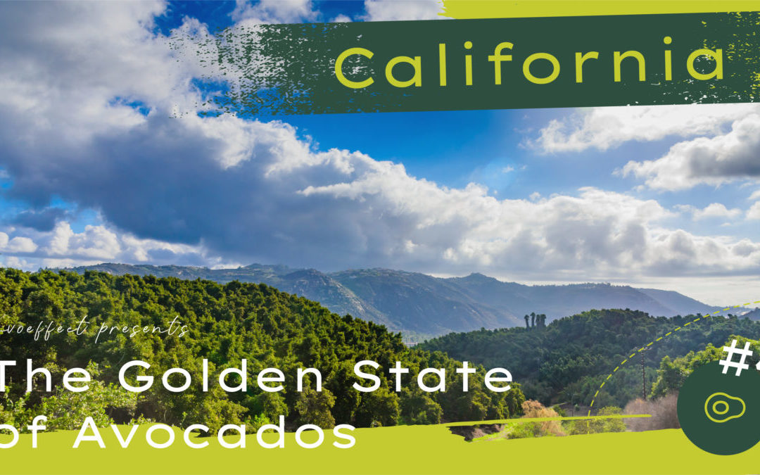 A Look at The Avo Effect Episode #4 – California: The Golden State of Avocados