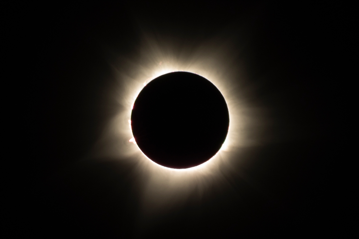Total Content Coverage: How the Solar Eclipse Made Social Media Fun Again